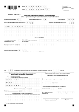 Титульный лист декларации по УСН на официальном бланке ФНС